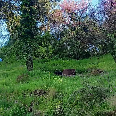Tiny House * Shkodër