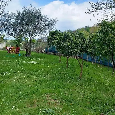 Lägenhet Tiny House Shkodër