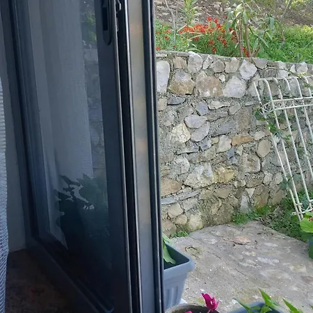 Tiny House